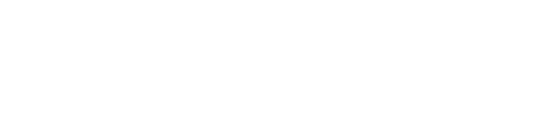 LEVEL